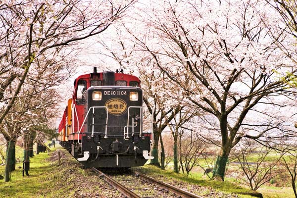 嵐山小火車-春_Photo2